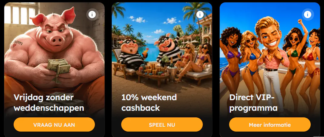 Loyaliteitsprogramma en cashback